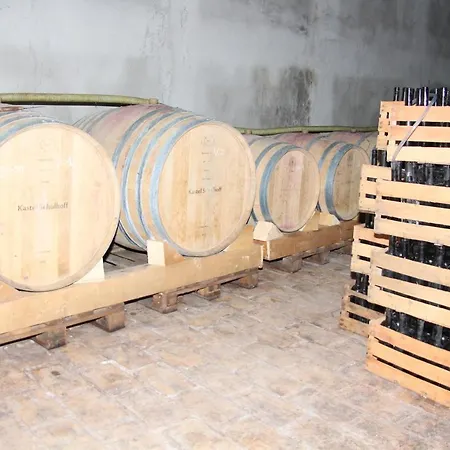 Schulhoff, Castle And Winery * Padé